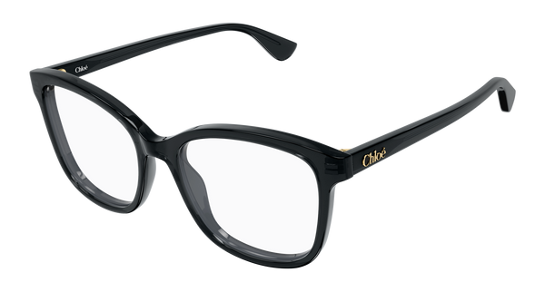 CHLOÉ CH0393O 001 54