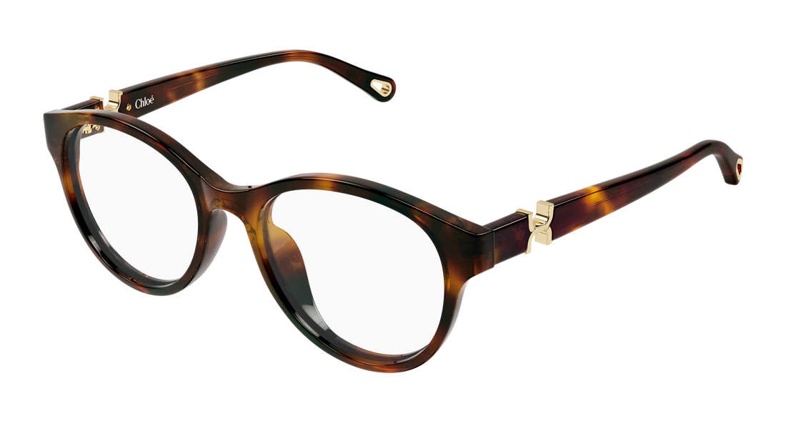 Briller chloé ch0376oa 002 havana round/oval/panthos femenino størrelse 53mm - Hovedvisning