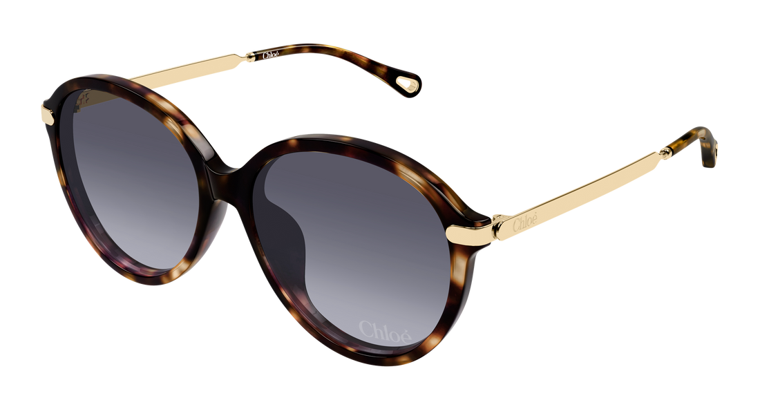Gafas de sol chloé ch0358sk 002 havana round/oval/panthos femenino talla 59mm - Vista principal
