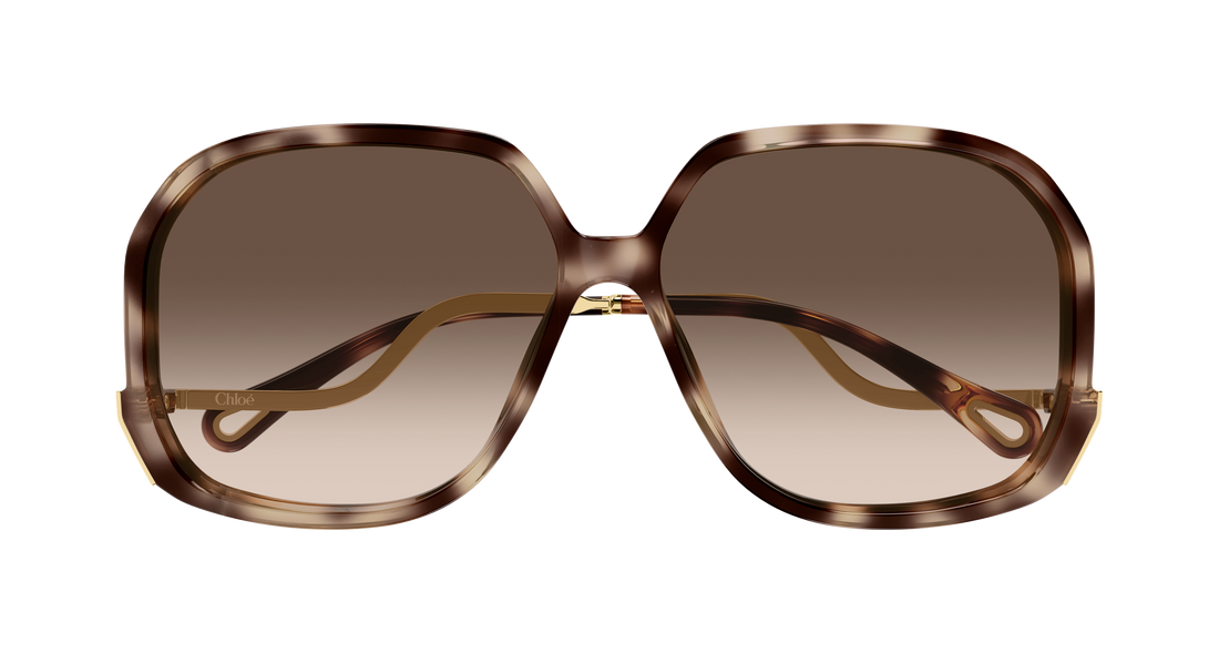 Gafas de sol chloé ch0404s 003 havana geometrical/directional femenino talla 60mm - Vista de detalle