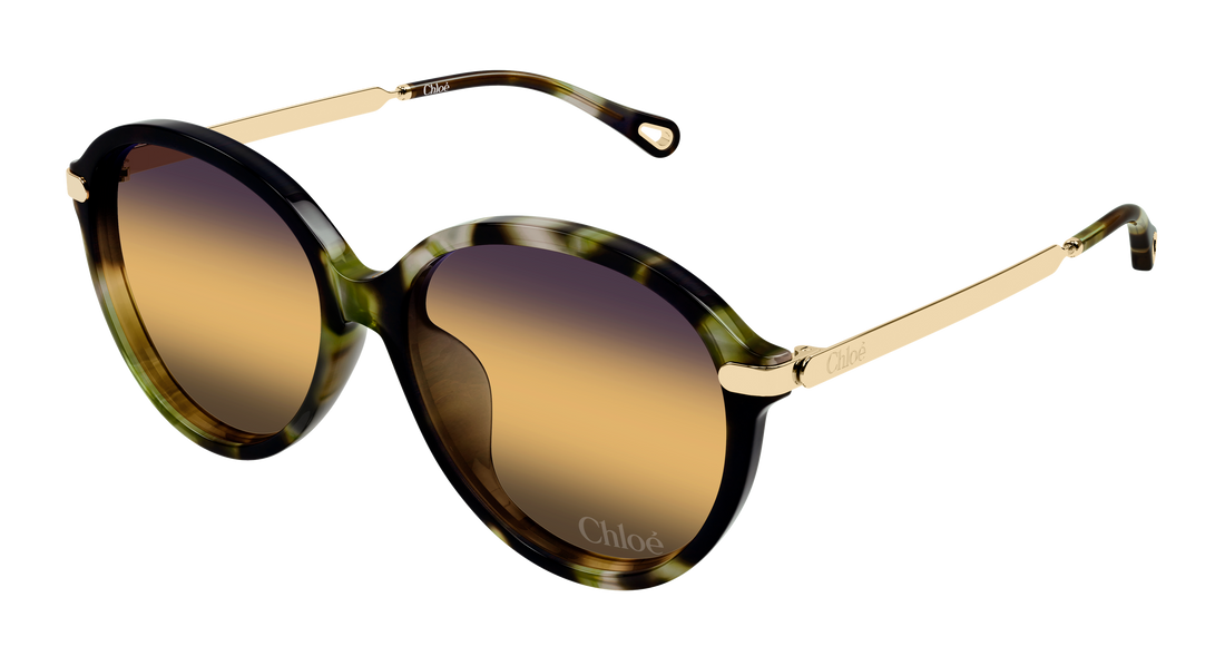 Gafas de sol chloé ch0358sk 003 havana round/oval/panthos femenino talla 59mm - Vista principal
