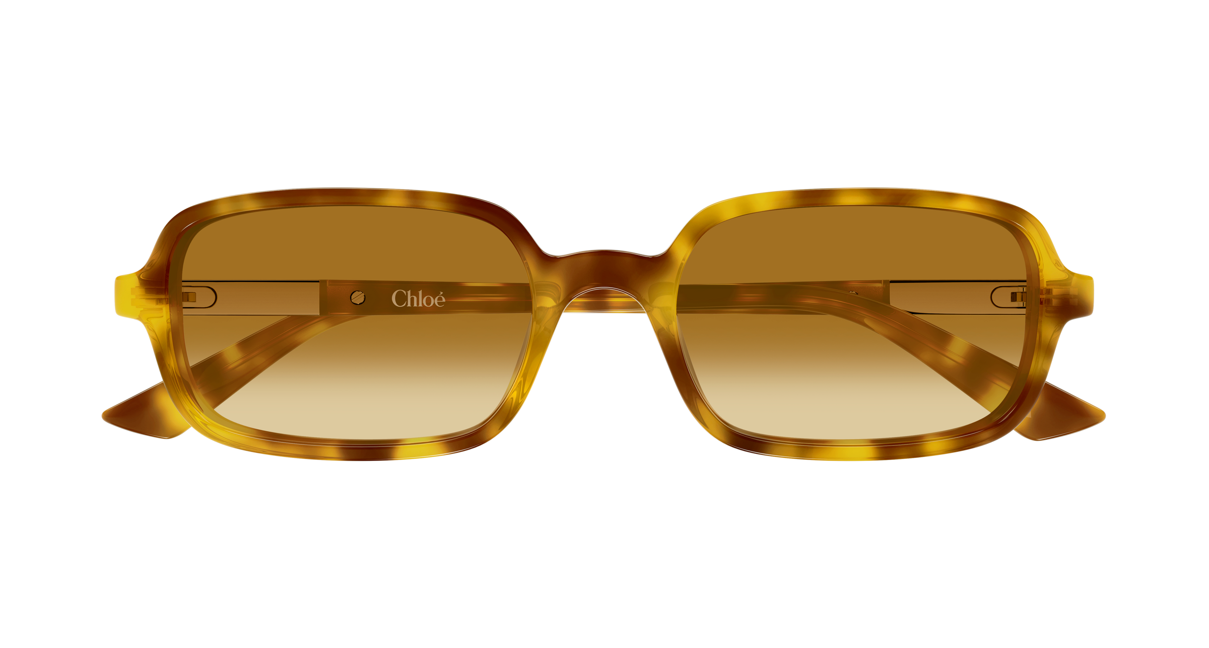 CHLOÉ CH0363S 004 53