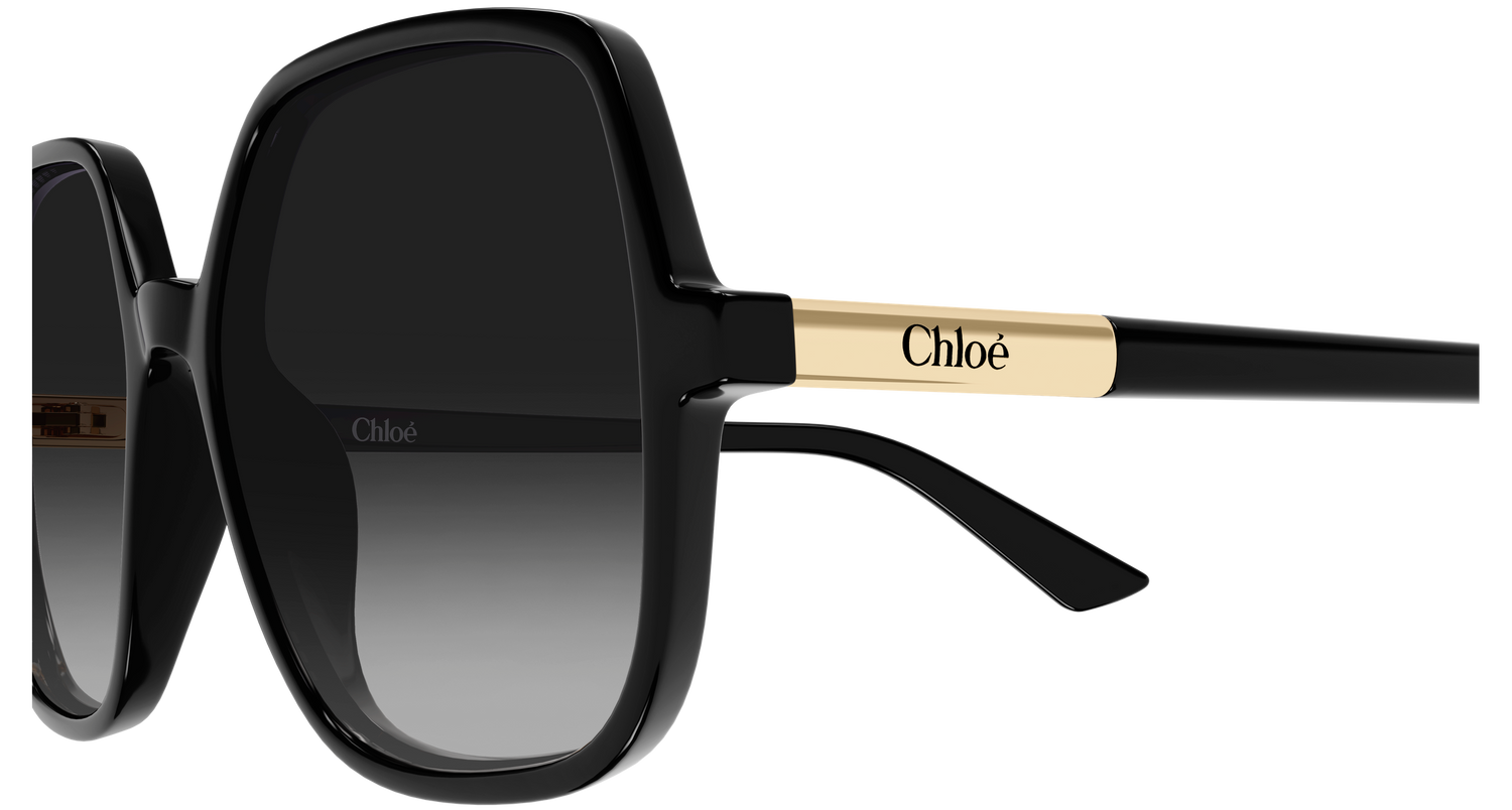 CHLOÉ CH0362S 001 55