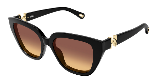 CHLOÉ CH0410S 001 53
