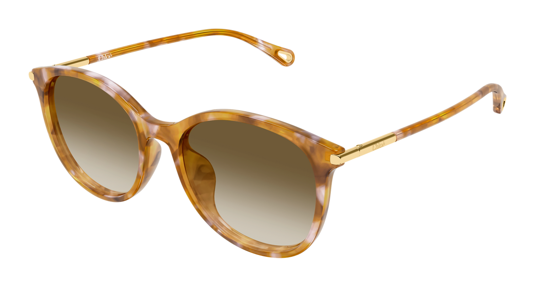 Solbriller chloé ch0397sk 003 havana round/oval/panthos femenino størrelse 56mm - Hovedvisning