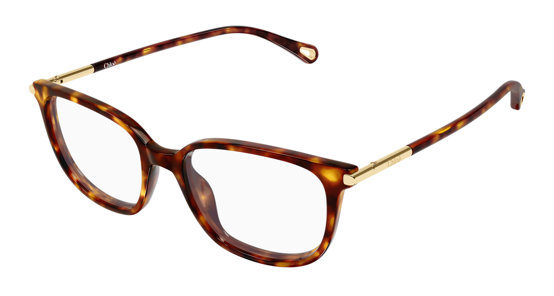 Briller chloé ch0400o 002 havana cat eye femenino størrelse 53mm - Hovedvisning