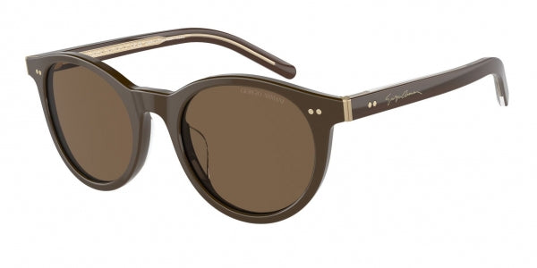 GIORGIO ARMANI AR8199U 604073 50