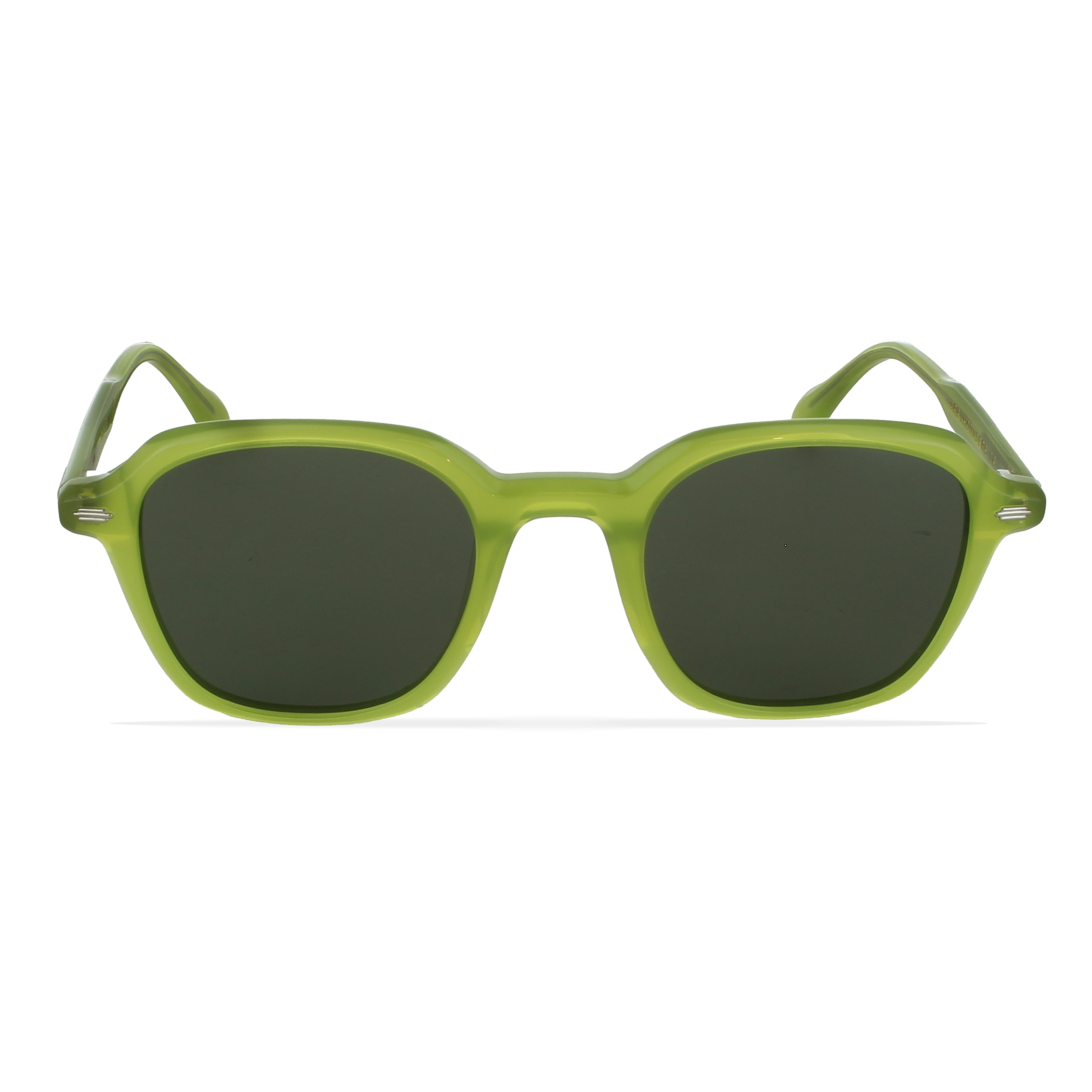 GREYHOUNDERS ANN GREEN 50