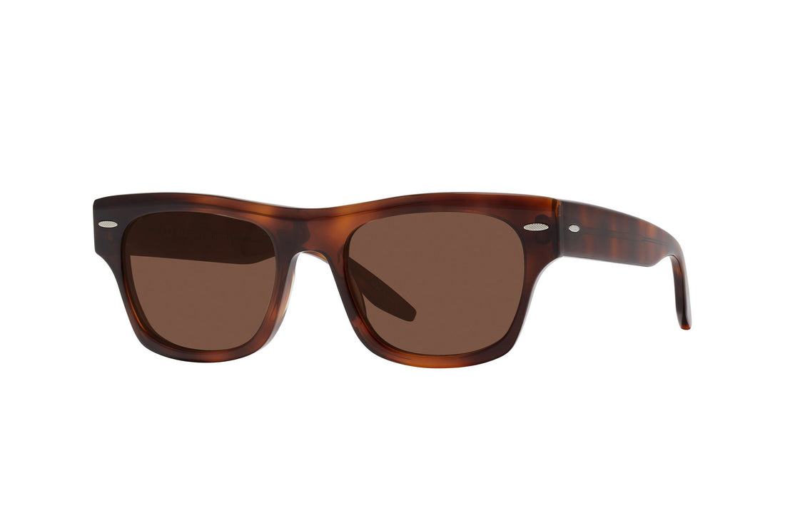 Lunettes de soleil barton perreira blackwell bp40115i 52e havana geometric masculino taille 53mm - Vue principale
