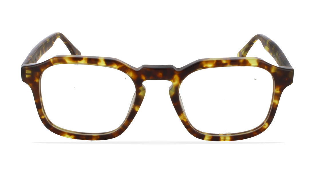 Óculos graduados greyhounders bluet havana havana square femenino tamanho 52mm - Vista de detalhe