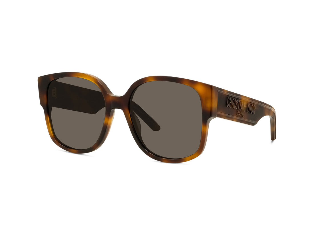 Lunettes de soleil wildior su 26a0 havana geometric femenino taille 58mm - Vue principale