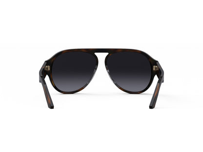 DIORSIGNATURE A1U 26A1 58
