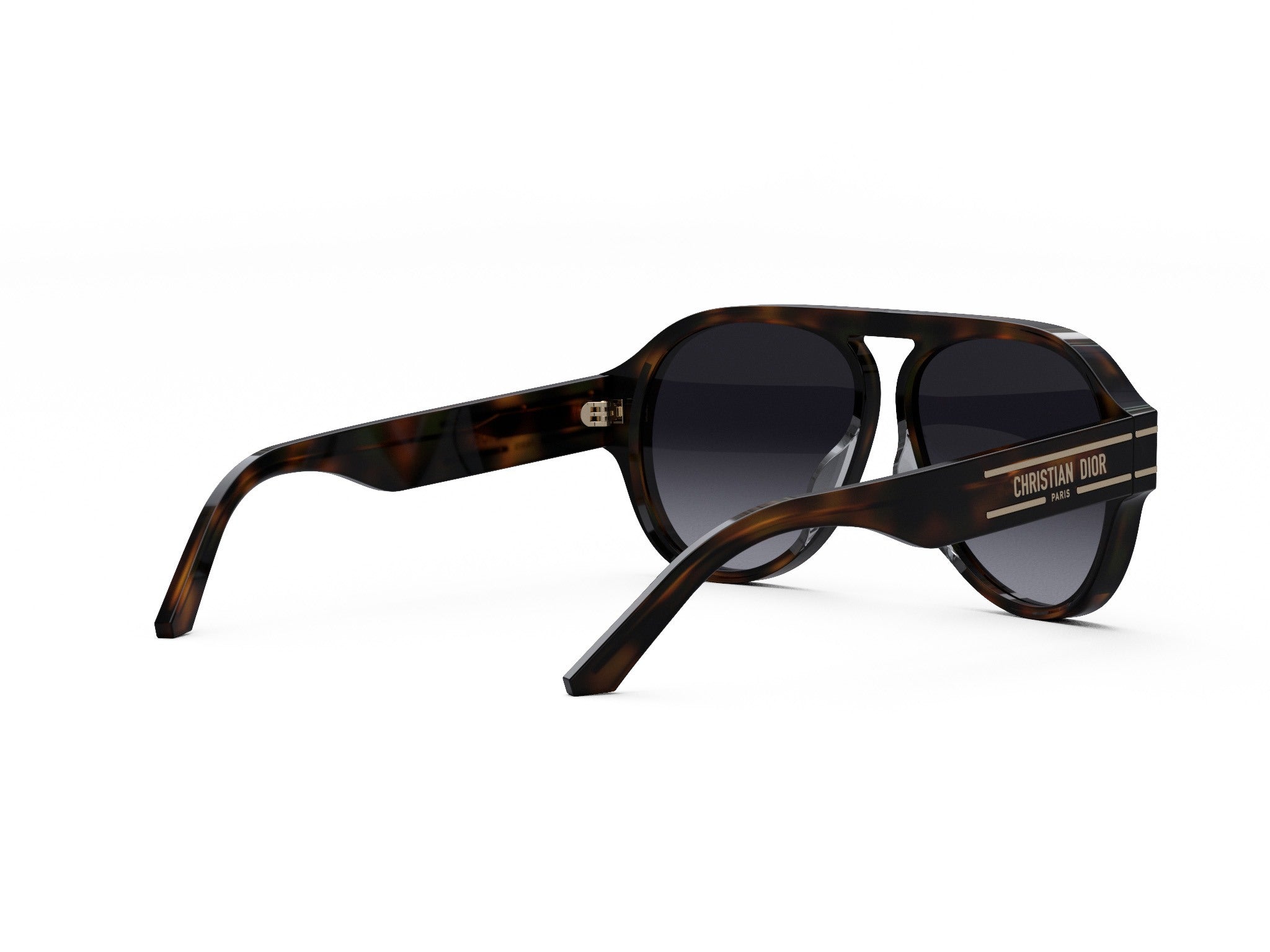DIORSIGNATURE A1U 26A1 58