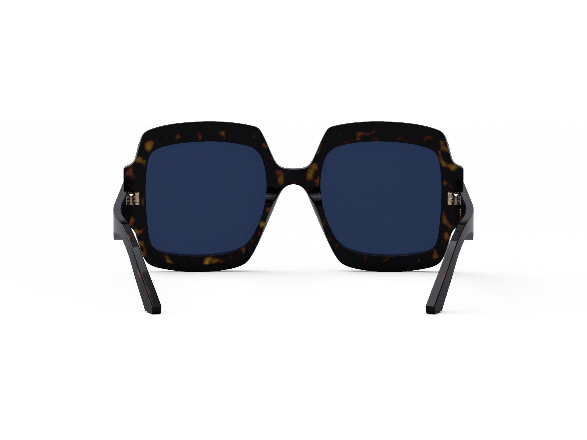 DIORSIGNATURE S1U 20B0 55