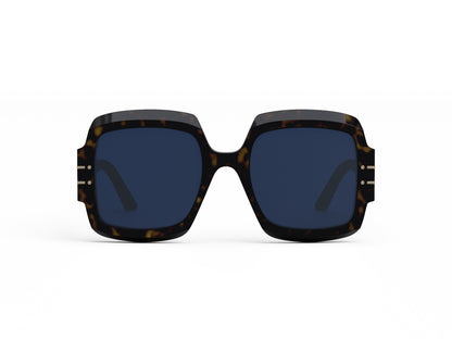 DIORSIGNATURE S1U 20B0 55