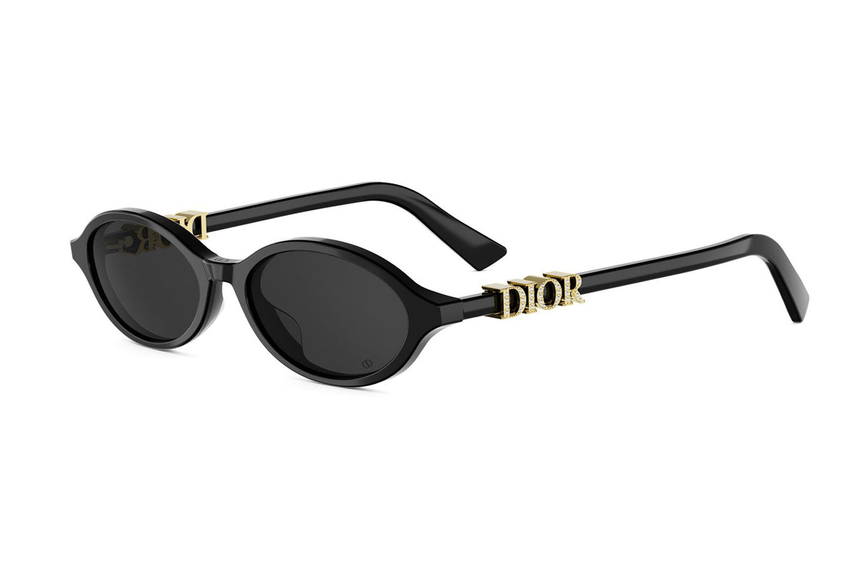 DIORTREASURE R1I 10A0 51