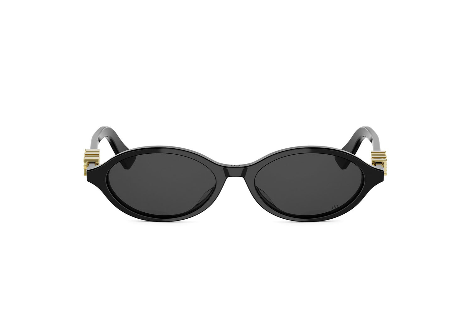 DIORTREASURE R1I 10A0 51