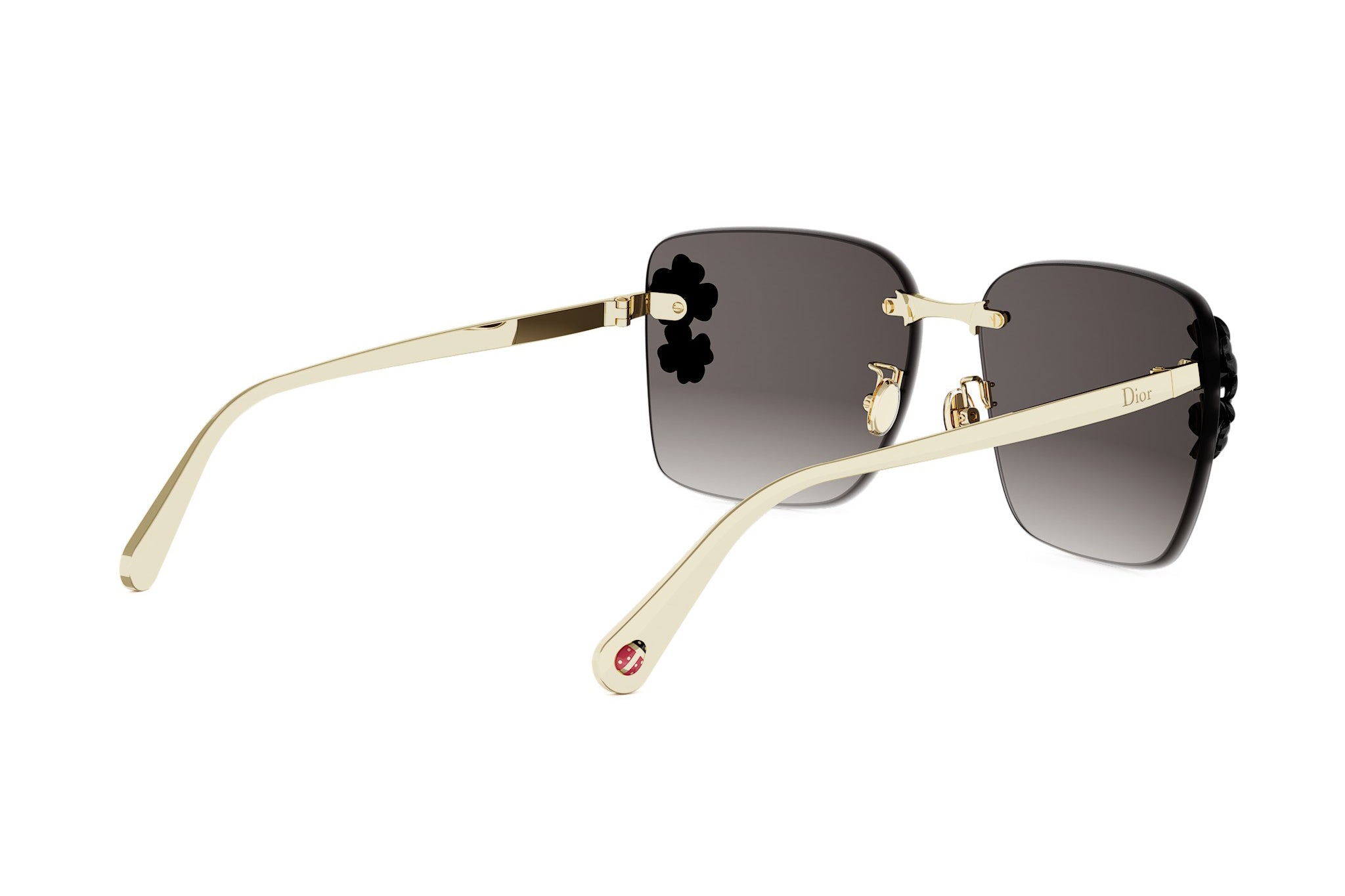 DIOR CLOVER S2U B0A1 62