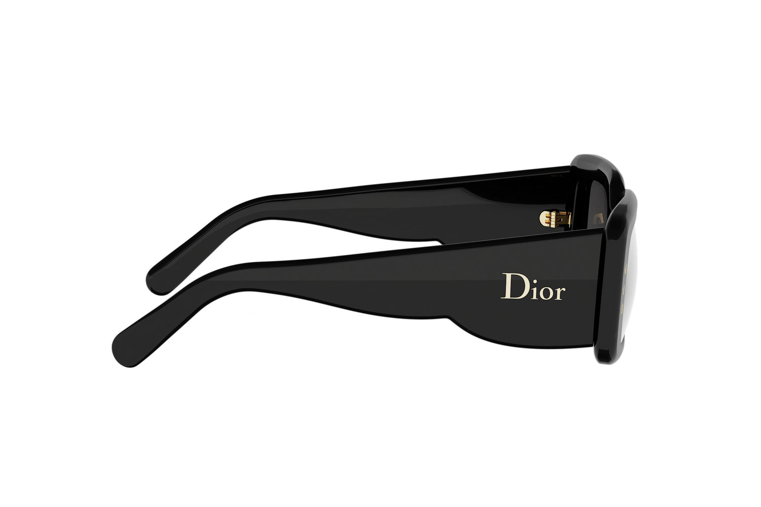 DIORLUCKYCHARMS S1I 10A0 51
