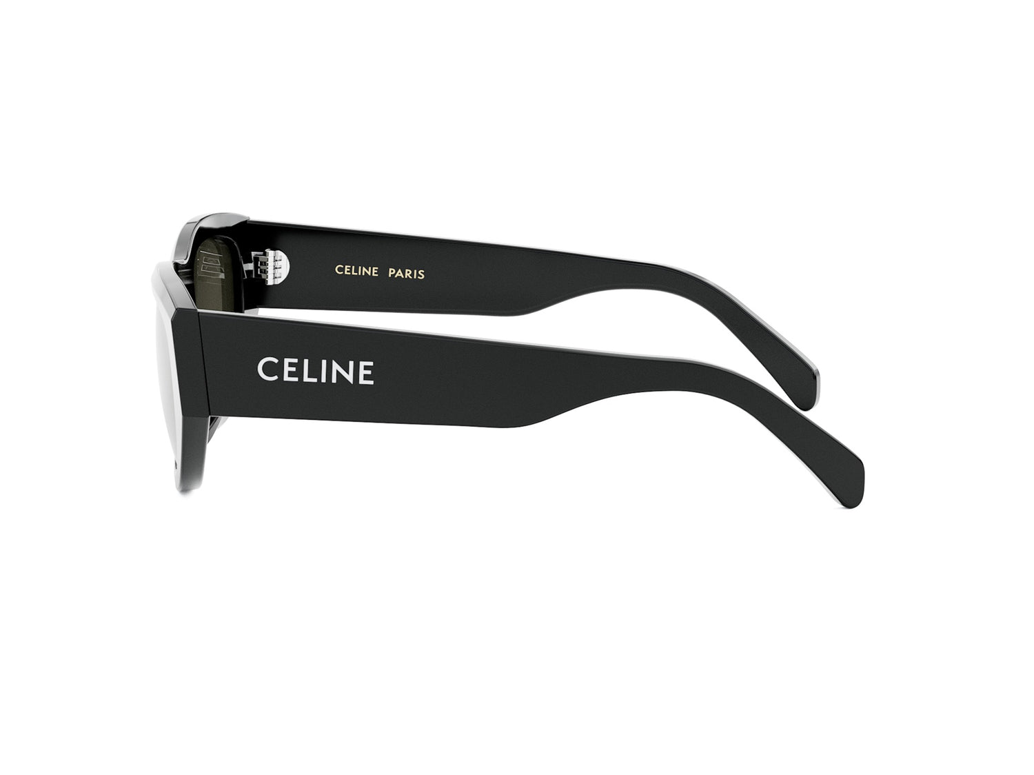 CELINE MONOCHROMS CL40278U 01A 55