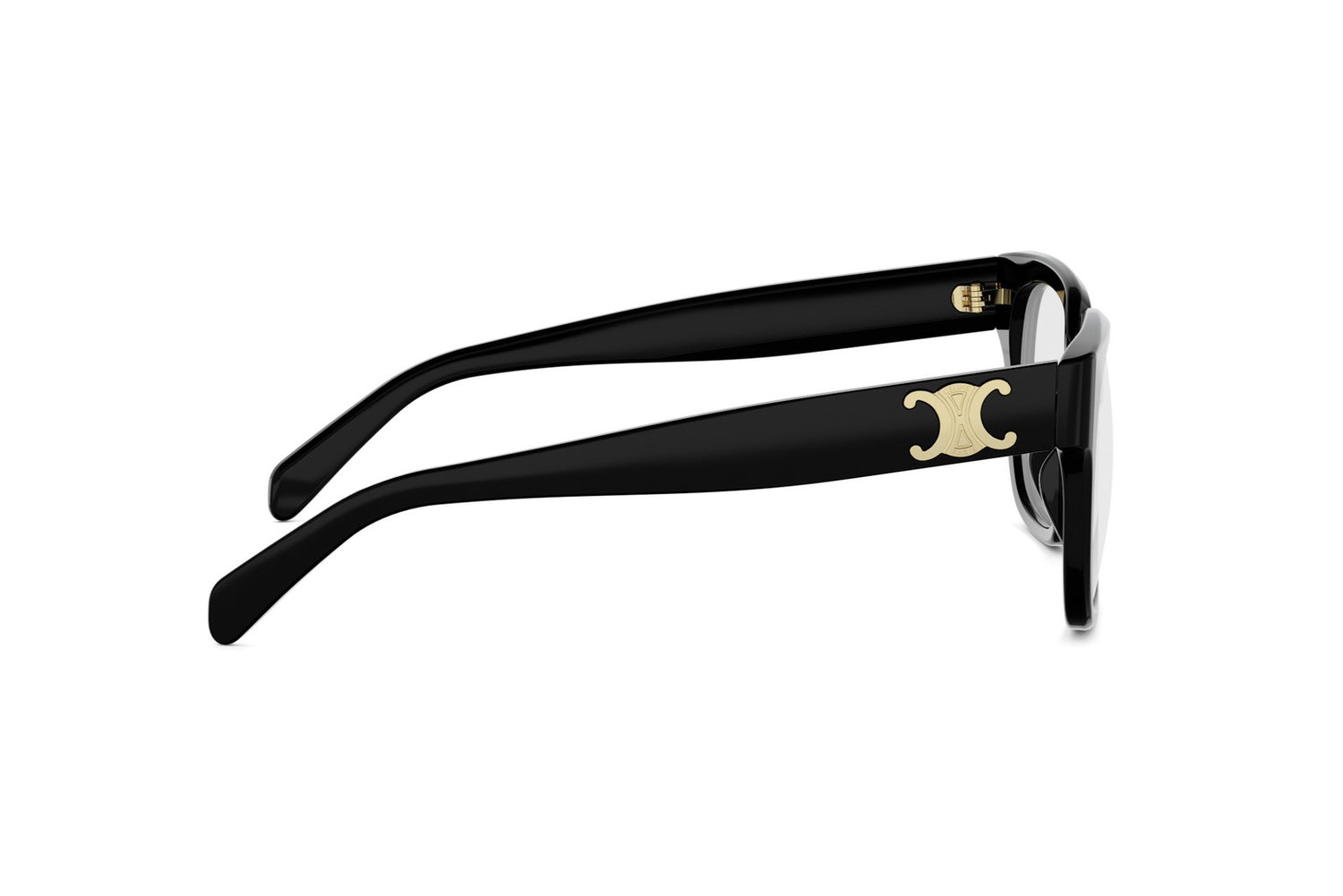 CELINE TRIOMPHE CL50172I 001 54