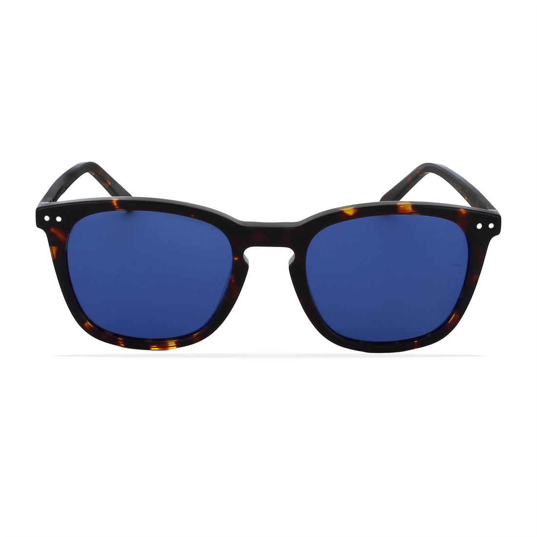 GREYHOUNDERS CENIT HAVANA 50