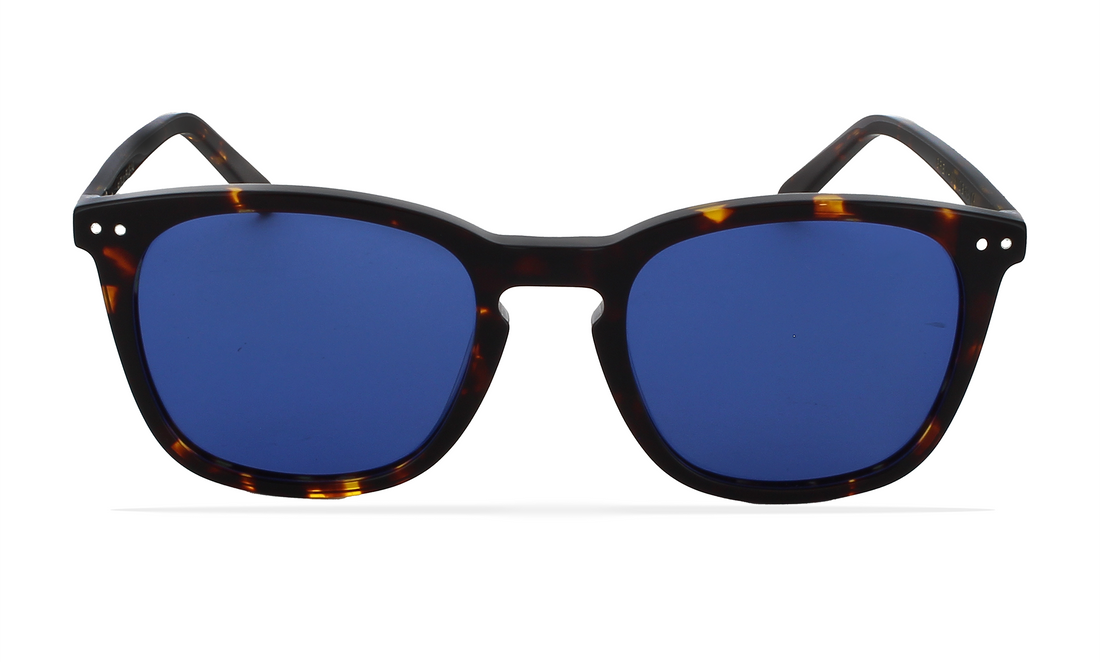 Okulary przeciwsłoneczne greyhounders cenit havana havana round masculino rozmiar 50mm - Widok szczegółowy