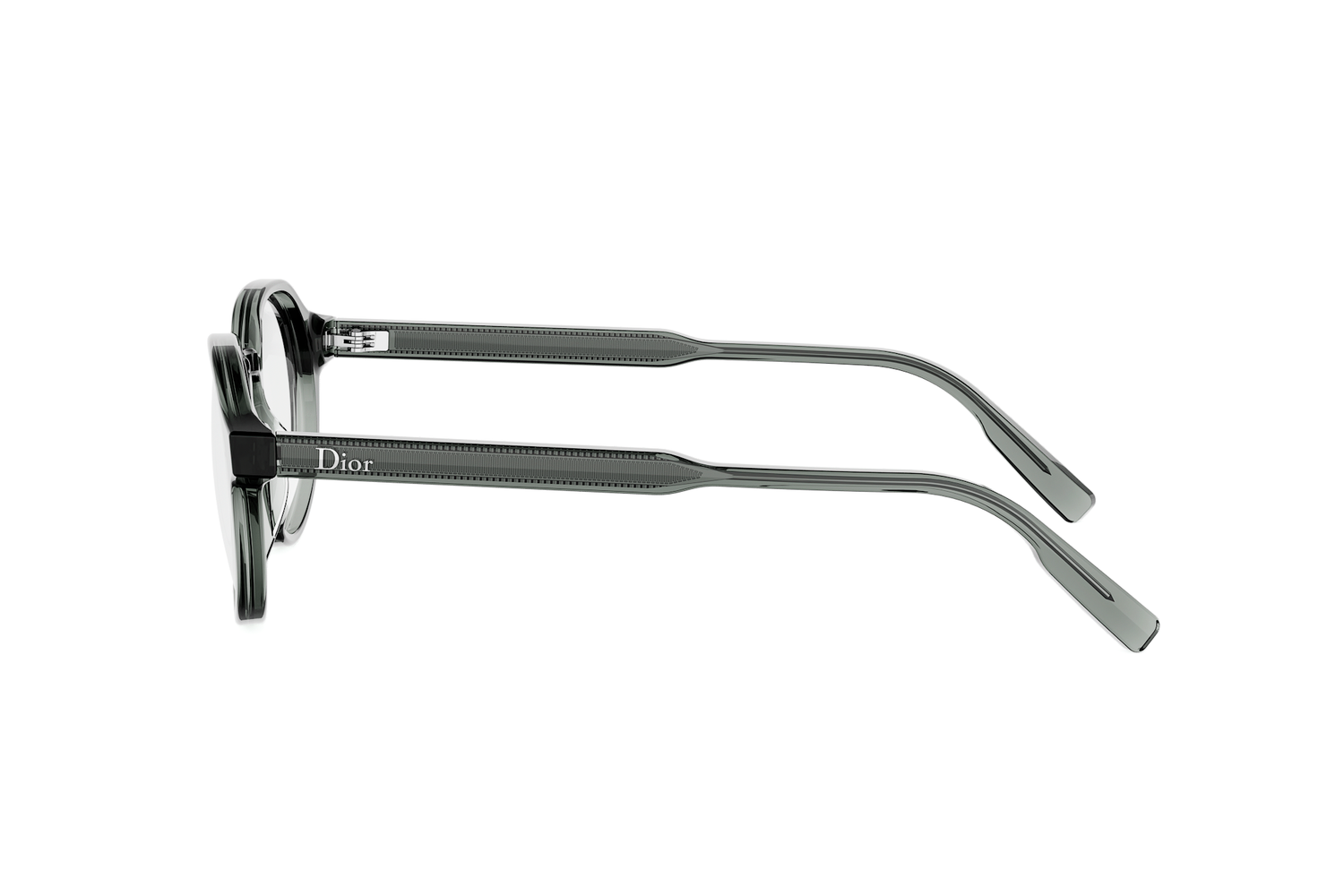 DIORIBBONO R1I 4500 49