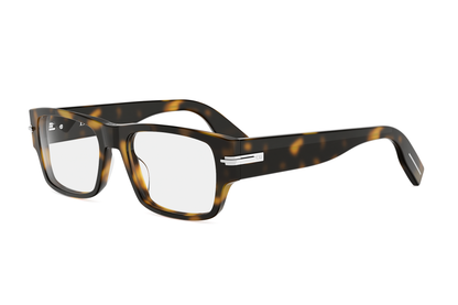 DIORBLACKSUIT XLO S1I 2000 54