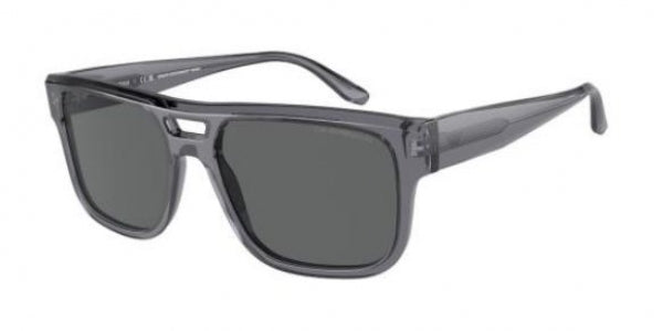 EMPORIO ARMANI EA4197 502987 57