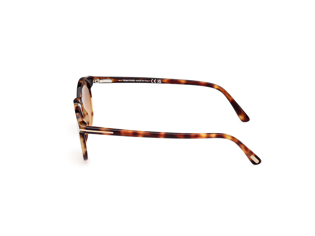 Gafas de sol tom ford ft0539 andrea-02 53f havana round masculino talla 48mm - Vista de detalle