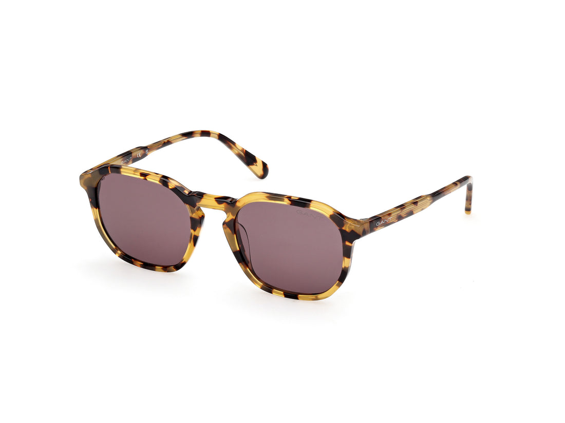 Occhiali da sole gant ga00033 53e havana geometric masculino taglia 52mm - Vista principale