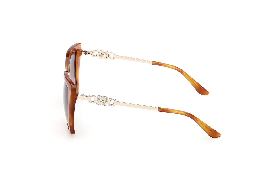 Sonnenbrillen guess gu00266 53f havana square femenino größe 56mm - Detailansicht