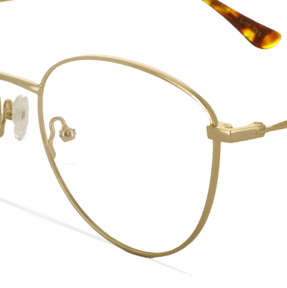 GREYHOUNDERS HATSUNE GOLD 53