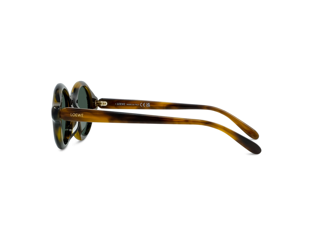 Gafas de sol loewe slim lw40162u 52n havana round femenino talla 48mm - Vista de detalle