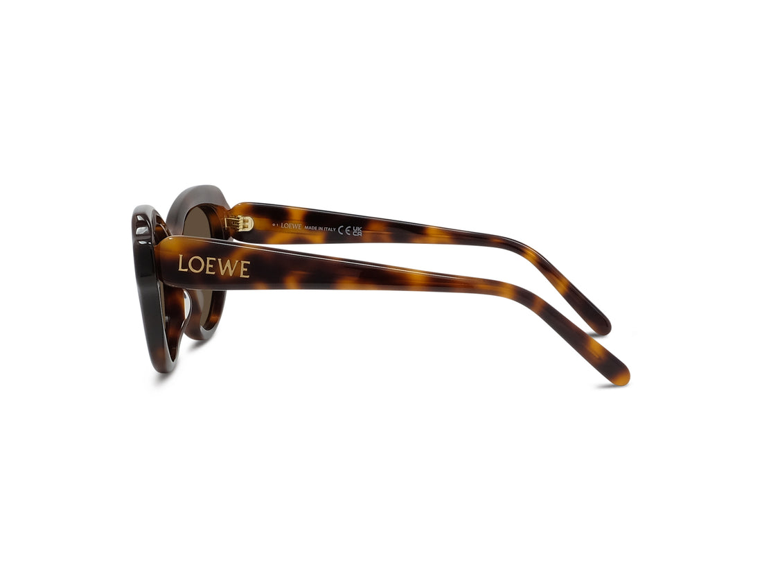 Gafas de sol loewe slim lw40178i 52e havana geometric femenino talla 53mm - Vista de detalle