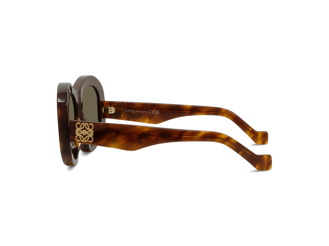 Gafas de sol loewe anagram lw40181i 52e havana geometric femenino talla 51mm - Vista de detalle