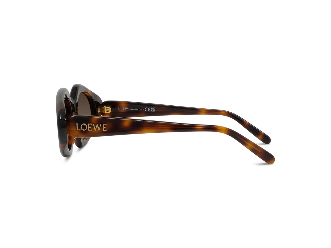 Gafas de sol loewe slim lw40185i 52f havana geometric femenino talla 50mm - Vista de detalle