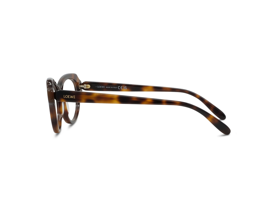 Brillen loewe slim lw50107i 052 havana geometric femenino größe 52mm - Detailansicht