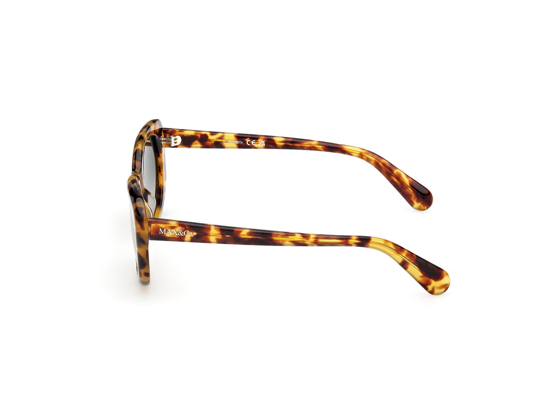 Occhiali da sole max &co mo0155 53p havana butterfly femenino taglia 54mm - Vista dettagliata