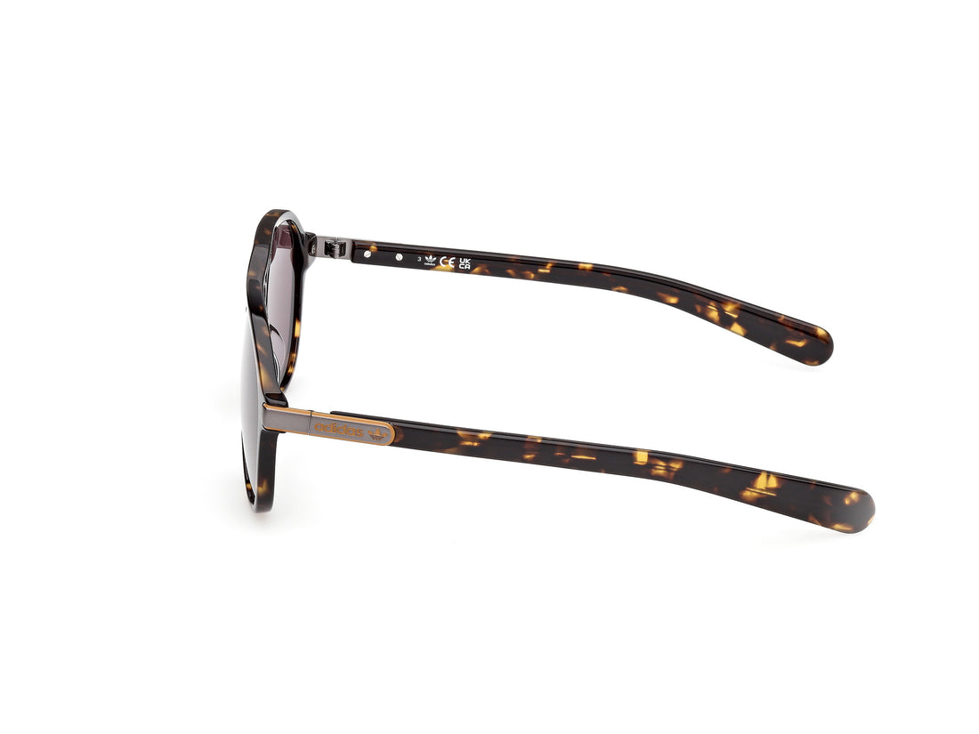 Sonnenbrillen adidas originals or0136 52e havana pilot masculino größe 58mm - Detailansicht