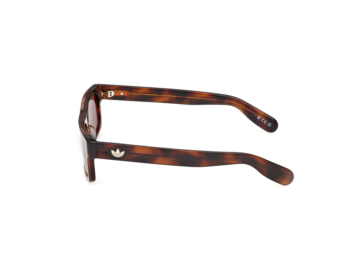 Sonnenbrillen adidas originals or0145 52e havana rectangular unisex größe 55mm - Detailansicht