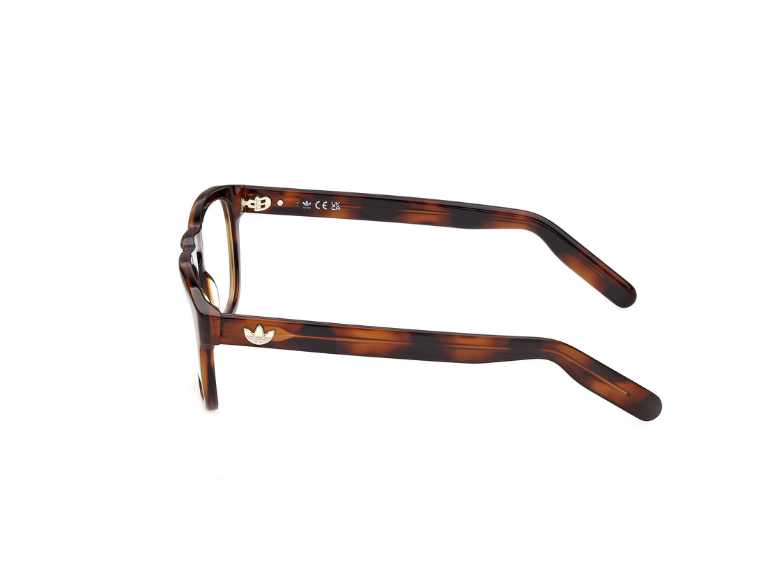 Occhiali da vista adidas originals or5155 052 havana square masculino taglia 53mm - Vista dettagliata