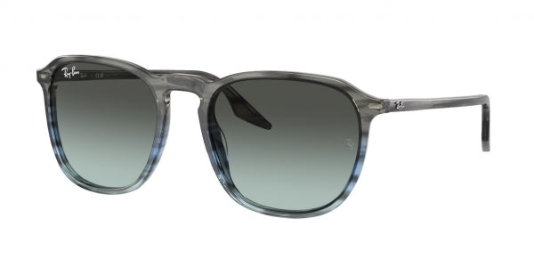 RAY-BAN RB2203 1391GK 55