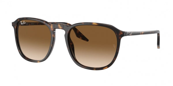 RAY-BAN RB2203 902/51 55