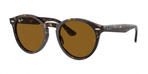 RAY-BAN RB7680S LARRY 902/33 51