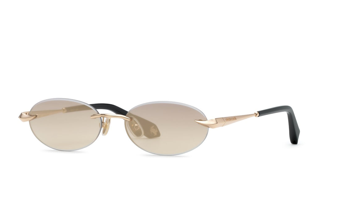 ROBERTO CAVALLI SRC152M 300G 55