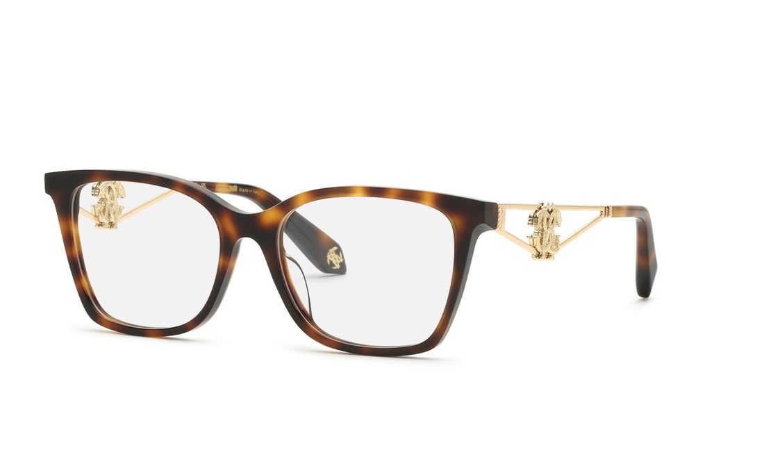 ROBERTO CAVALLI VRC149 09AJ 53