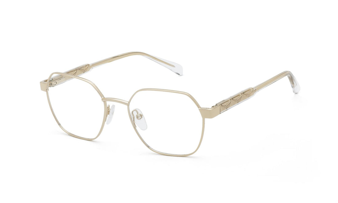 Zadig&amp;Voltaire VZV498 0300 51