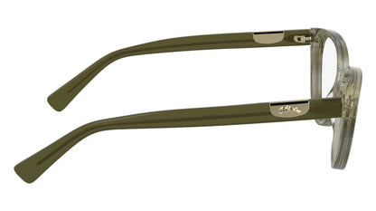 LONGCHAMP LO2764 252 53